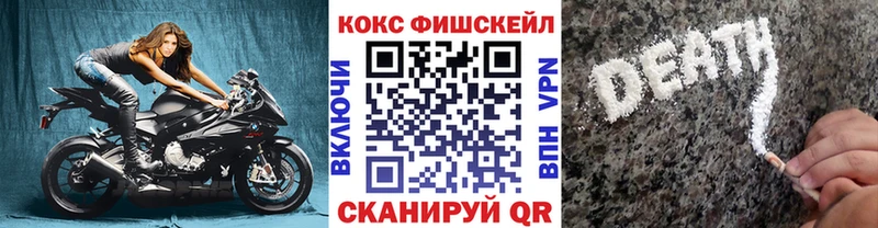 купить  сайты  Заринск  Cocaine Fish Scale 
