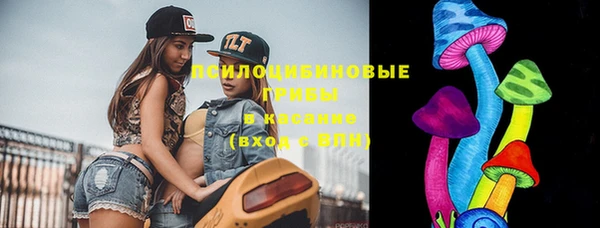 дживик Медногорск