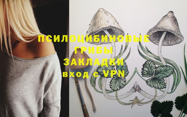 таблы Медвежьегорск