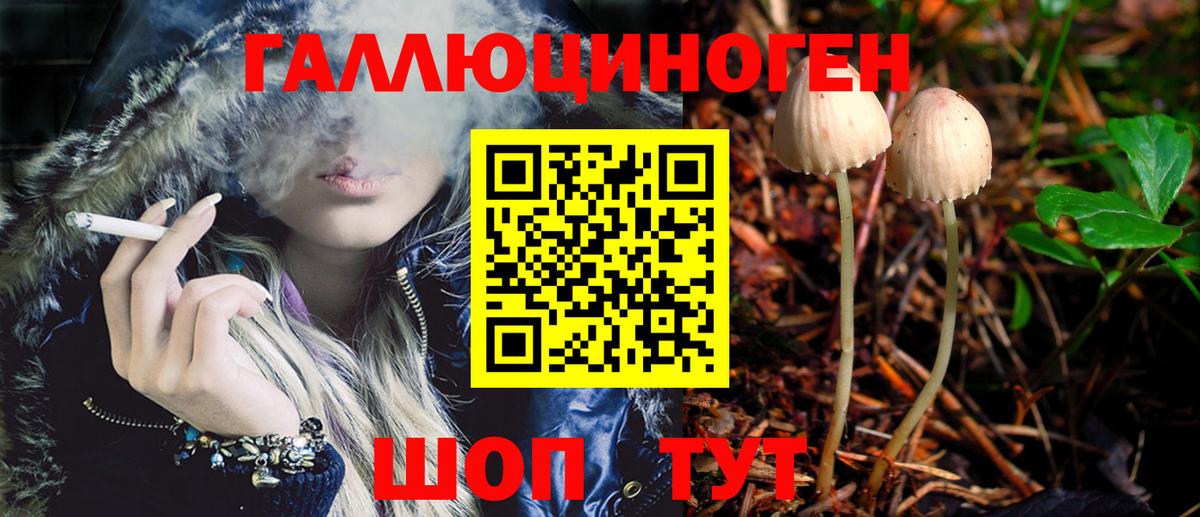 Псилоцибиновые грибы Psilocybine cubensis  где купить наркоту  Галлюциногенные грибы мицелий  Заринск 