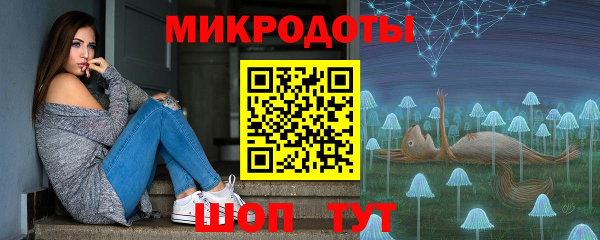 Галлюциногенные грибы Psilocybe Заринск